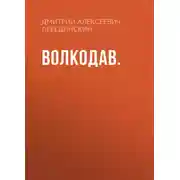 Постер книги Волкодав