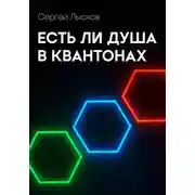 Постер книги Есть ли душа в квантонах