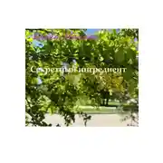 Постер книги Секретный ингредиент