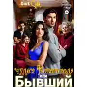 Постер книги Бывший или чудеса Нового Года