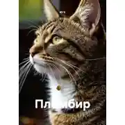 Постер книги Пломбир