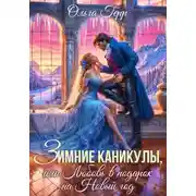 Постер книги Зимние каникулы, или Любовь в подарок на Новый год