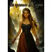 Постер книги За гранью Жизни