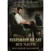Постер книги Некромант на час (сборник)