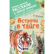 Постер книги Встречи в тайге. С вопросами и ответами для почемучек