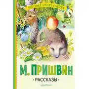 Постер книги Рассказы