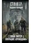Андрей Нуждин - Зона Питер. Операция «Проводник»