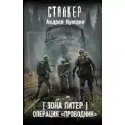 Постер книги Зона Питер. Операция «Проводник»