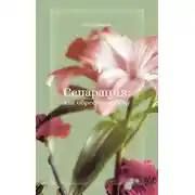 Постер книги Сепарация: как обрести свободу