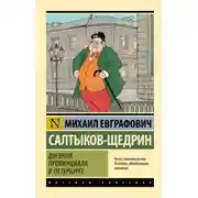 Постер книги Дневник провинциала в Петербурге