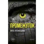 Постер книги Промежуток