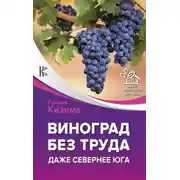 Постер книги Виноград без труда. Даже севернее юга