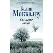 Постер книги Евангелие любви