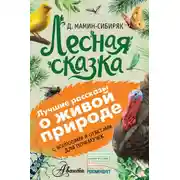 Постер книги Лесная сказка. С вопросами и ответами для почемучек