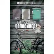 Постер книги Заблуждение велосипеда
