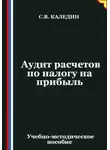 Сергей Каледин - Аудит расчетов по налогу на прибыль