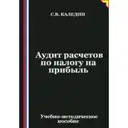 Постер книги Аудит расчетов по налогу на прибыль