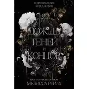 Постер книги Дождь теней и концов
