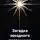 Ольга Кристалл - Загадка звездного посланника