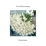 Постер книги Второй шанс
