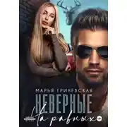 Постер книги Неверные. На равных