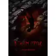 Постер книги В тихом городе