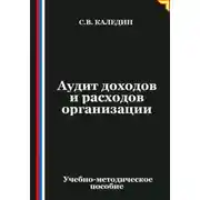 Постер книги Аудит доходов и расходов организации