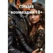 Постер книги Пламя возмездия 18+