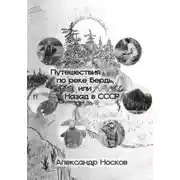 Постер книги Три этапа похода, или По реке Бердь