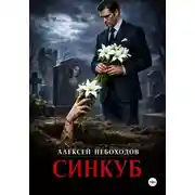 Постер книги Синкуб