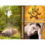 Постер книги Солнышко