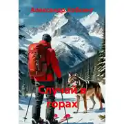 Постер книги Случай в горах