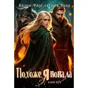 Постер книги Похоже, я попала 4