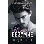 Постер книги Нежное безумие