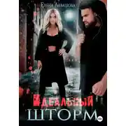 Постер книги Идеальный шторм