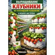Постер книги Выращивание клубники по голландской технологии в мешках или трубах