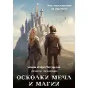 Постер книги Осколки меча и магии