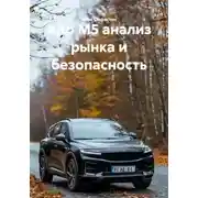 Постер книги Aito M5 анализ рынка и безопасность