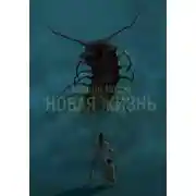 Постер книги Новая жизнь 1 том
