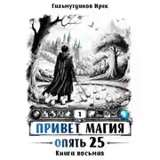 Постер книги Опять 25. Финал