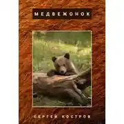 Постер книги Медвежонок