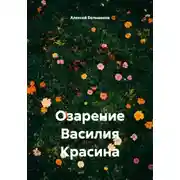 Постер книги Озарение Василия Красина