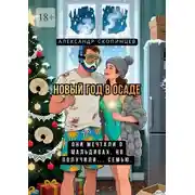 Постер книги Новый год в осаде. Они мечтали о Мальдивах… но получили семью
