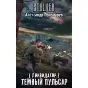 Постер книги Темный пульсар