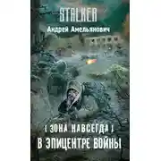 Постер книги В эпицентре войны