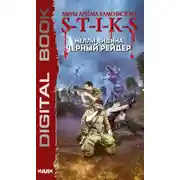 Постер книги Чёрный рейдер