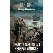 Постер книги Необратимость