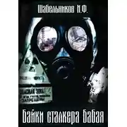 Постер книги Байки сталкера Бабая