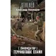 Постер книги Терракотовое пламя