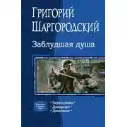 Постер книги Заблудшая душа